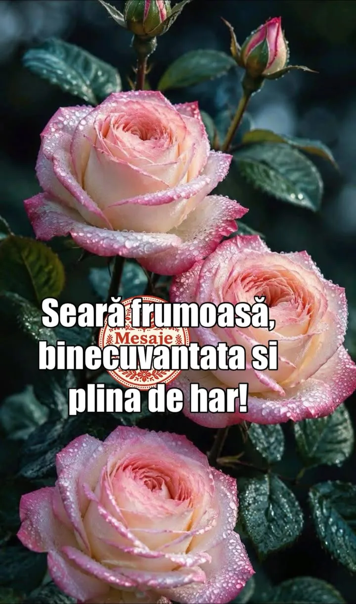Seara frumoasa tuturor!🌳