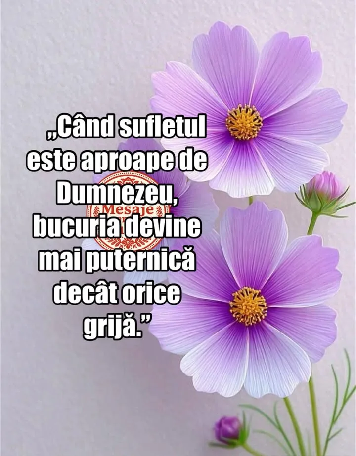 #viral#citat