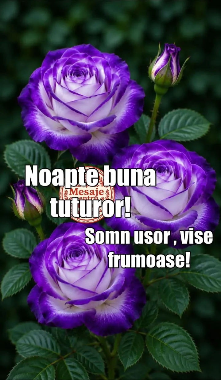 Mesaj pentru suflet 2026-06-18T18:09:05+0000