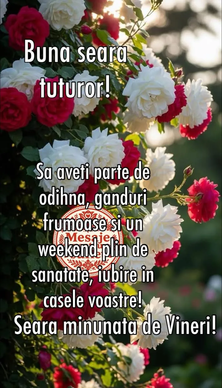 Mesaj pentru suflet 2026-06-19T13:50:20+0000