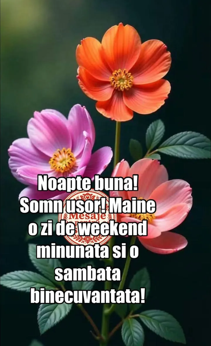Noapte buna!💫