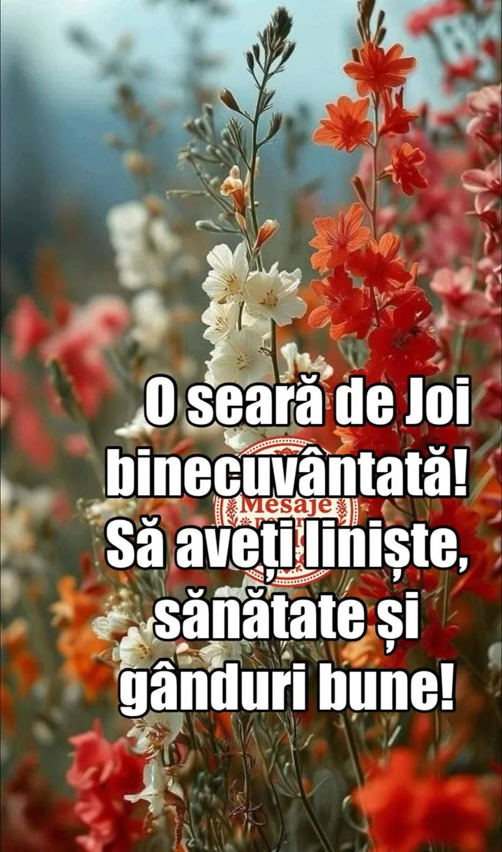 Mesaj pentru suflet 2026-06-18T15:37:09+0000