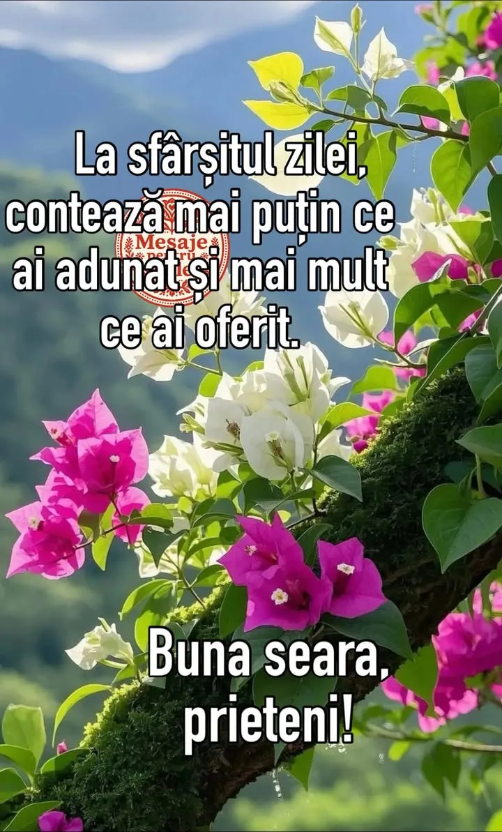 Mesaj pentru suflet 2026-06-19T15:27:59+0000