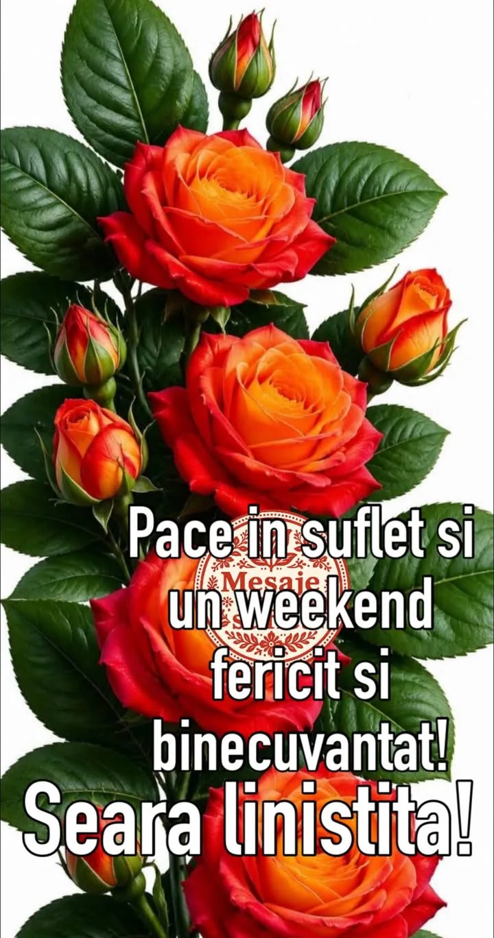 Mesaj pentru suflet 2026-06-19T14:45:19+0000