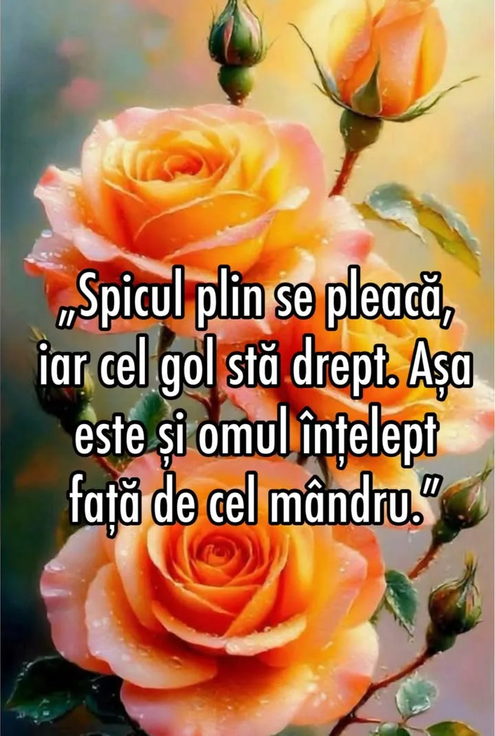 #viral#citat