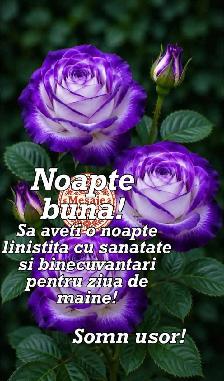 Mesaj pentru suflet 2026-06-20T17:38:18+0000