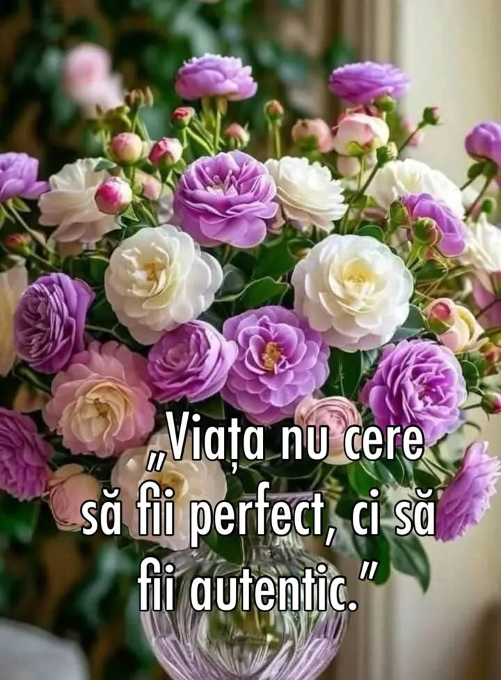 Mesaj pentru suflet 2026-06-22T15:33:41+0000