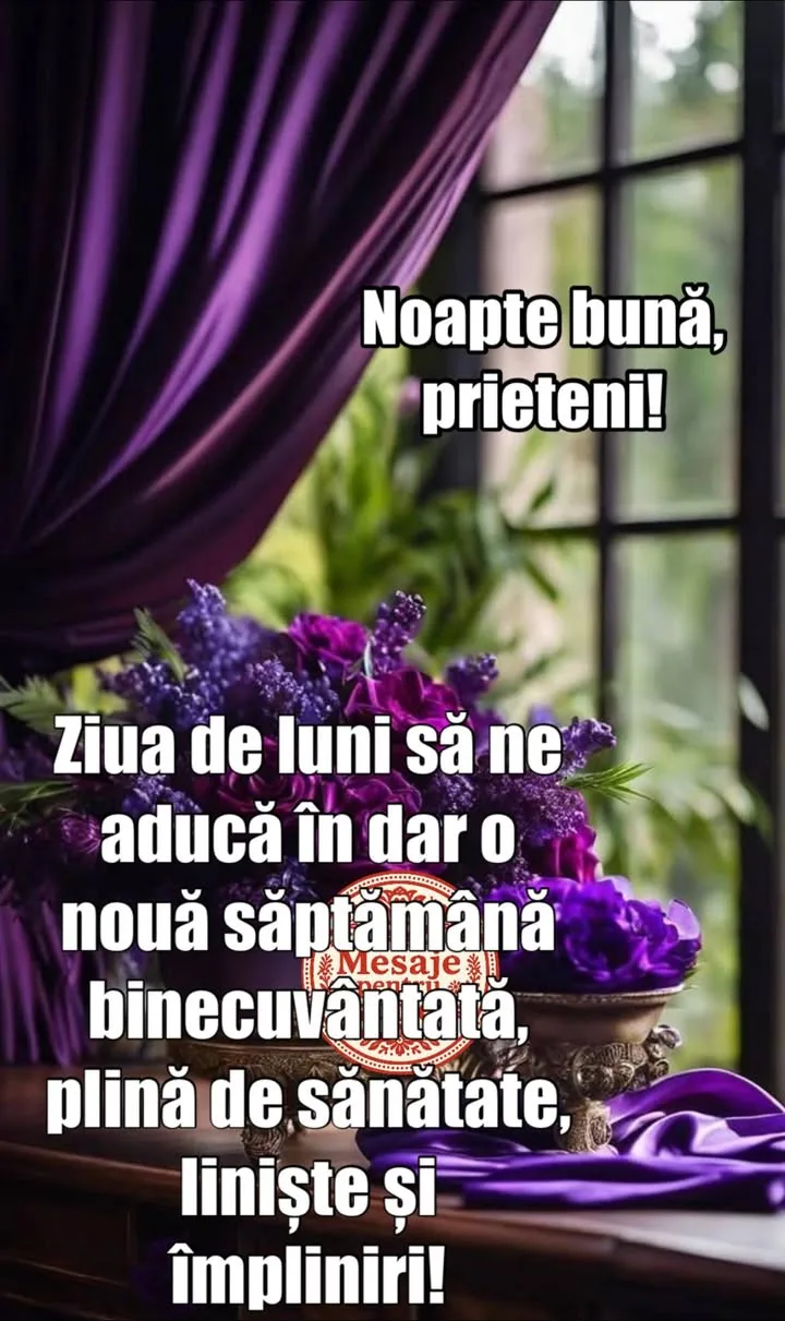 Noapte buna!💫