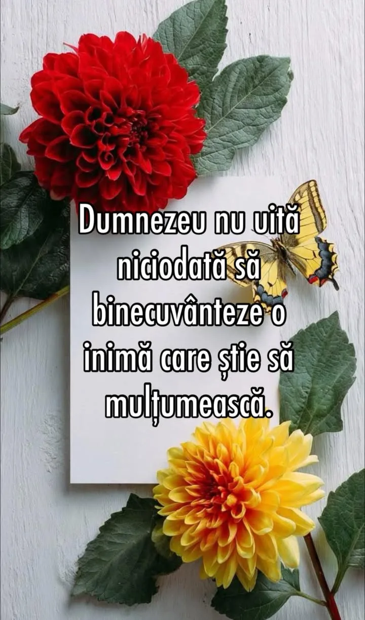 #viral#citat
