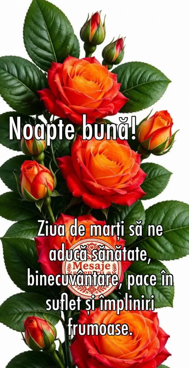Mesaj pentru suflet 2026-06-22T16:33:54+0000