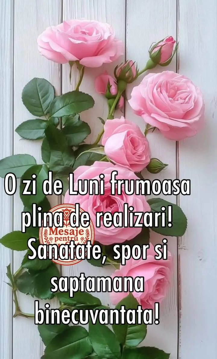 Saptamana usoara!🌹