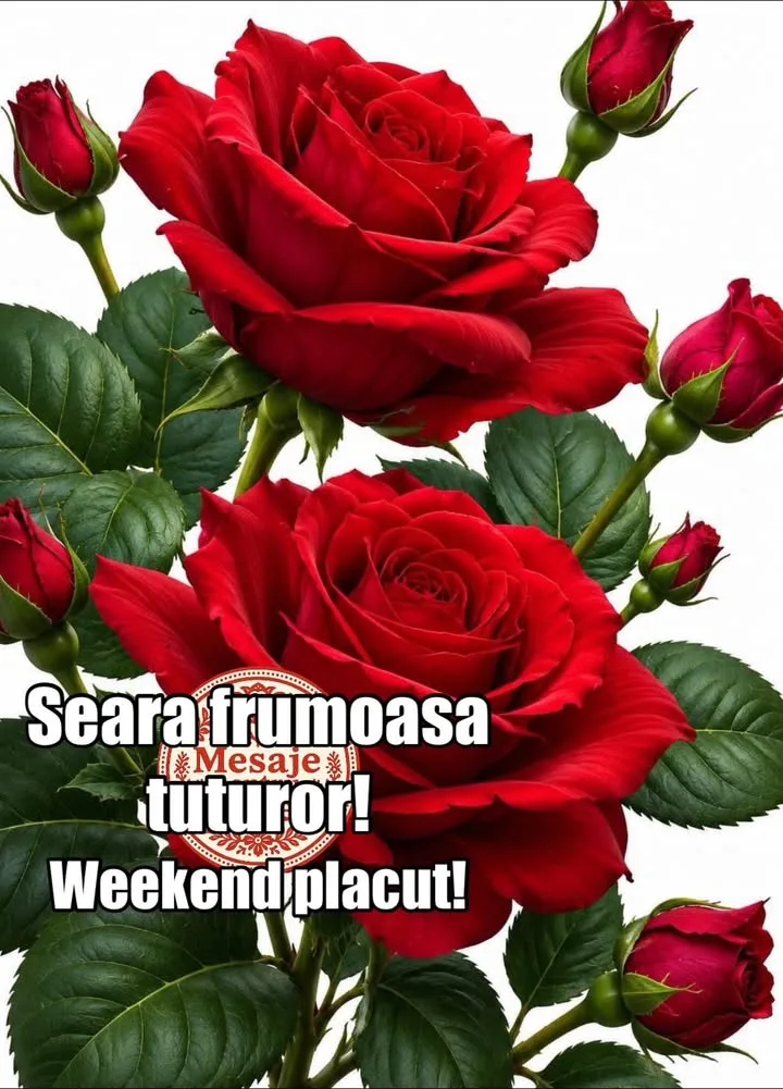 Mesaj pentru suflet 2026-06-19T15:55:36+0000