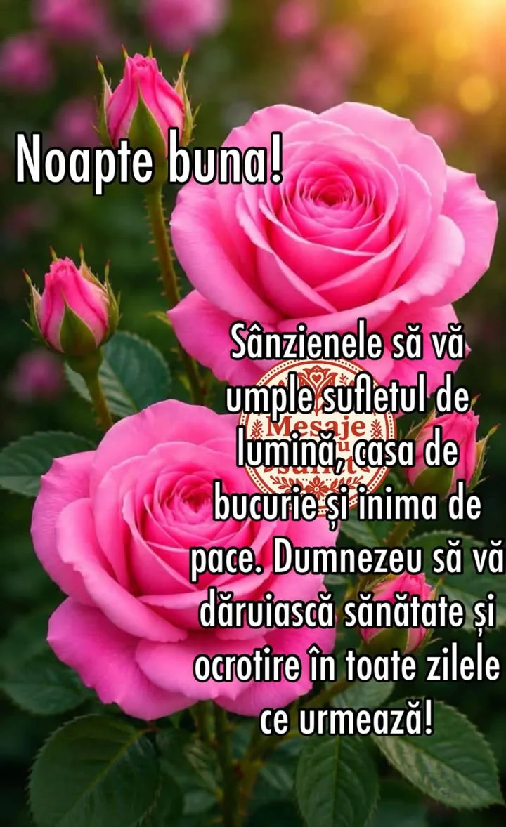 Mesaj pentru suflet 2026-06-23T18:44:50+0000
