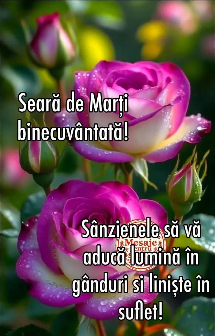 Mesaj pentru suflet 2026-06-23T15:35:05+0000