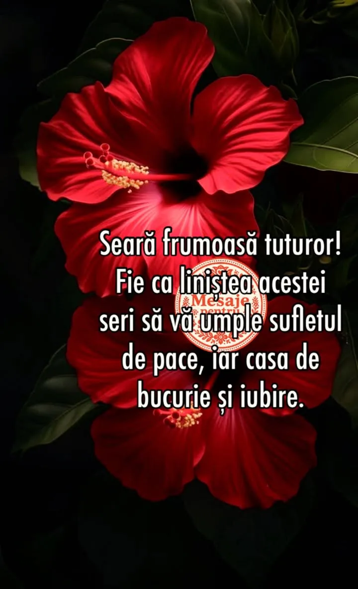 Mesaj pentru suflet 2026-06-22T15:50:48+0000