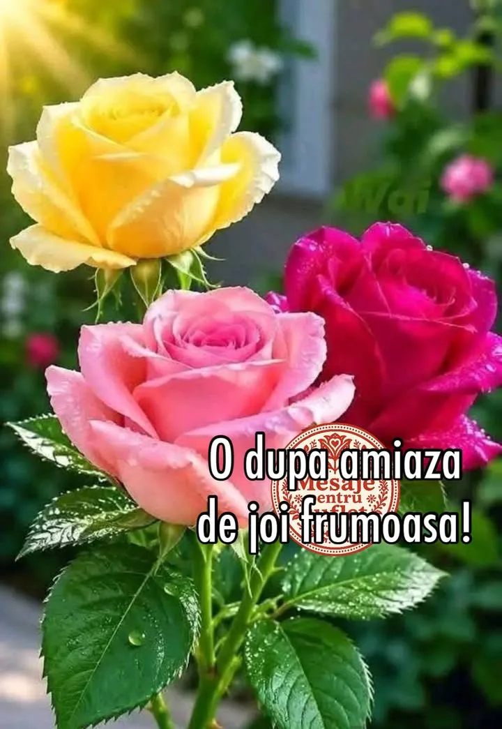 Buna ziua, prieteni!🌹