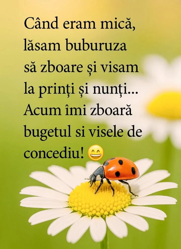 Mesaj pentru suflet 2026-06-24T15:30:53+0000