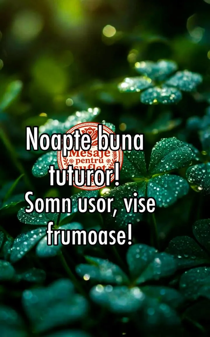 Mesaj pentru suflet 2026-06-22T17:30:53+0000