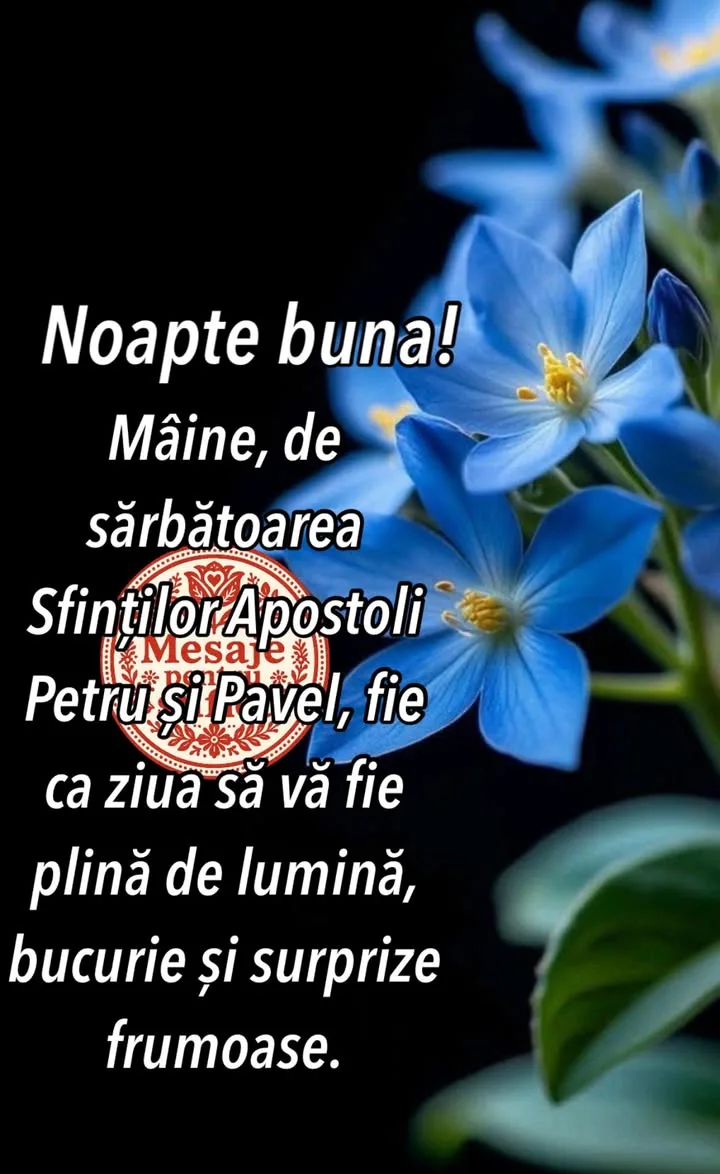 Mesaj pentru suflet 2026-06-28T17:49:43+0000