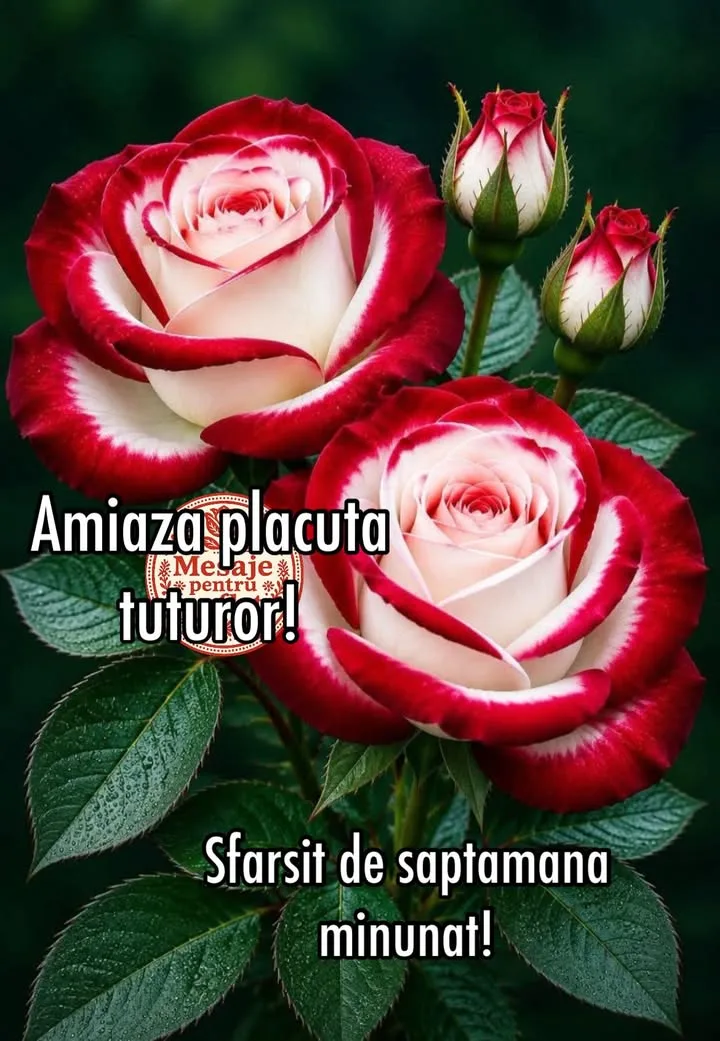 Mesaj pentru suflet 2026-06-26T10:49:23+0000