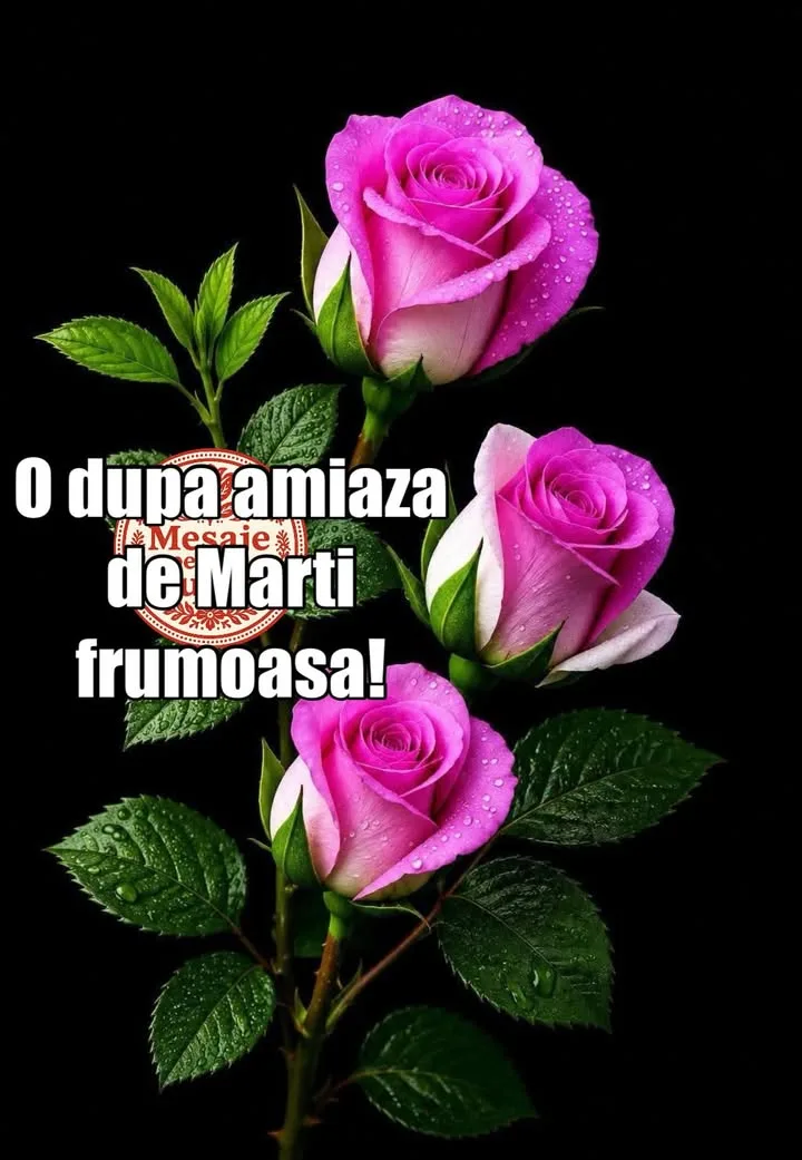 Buna ziua, prieteni!🍀