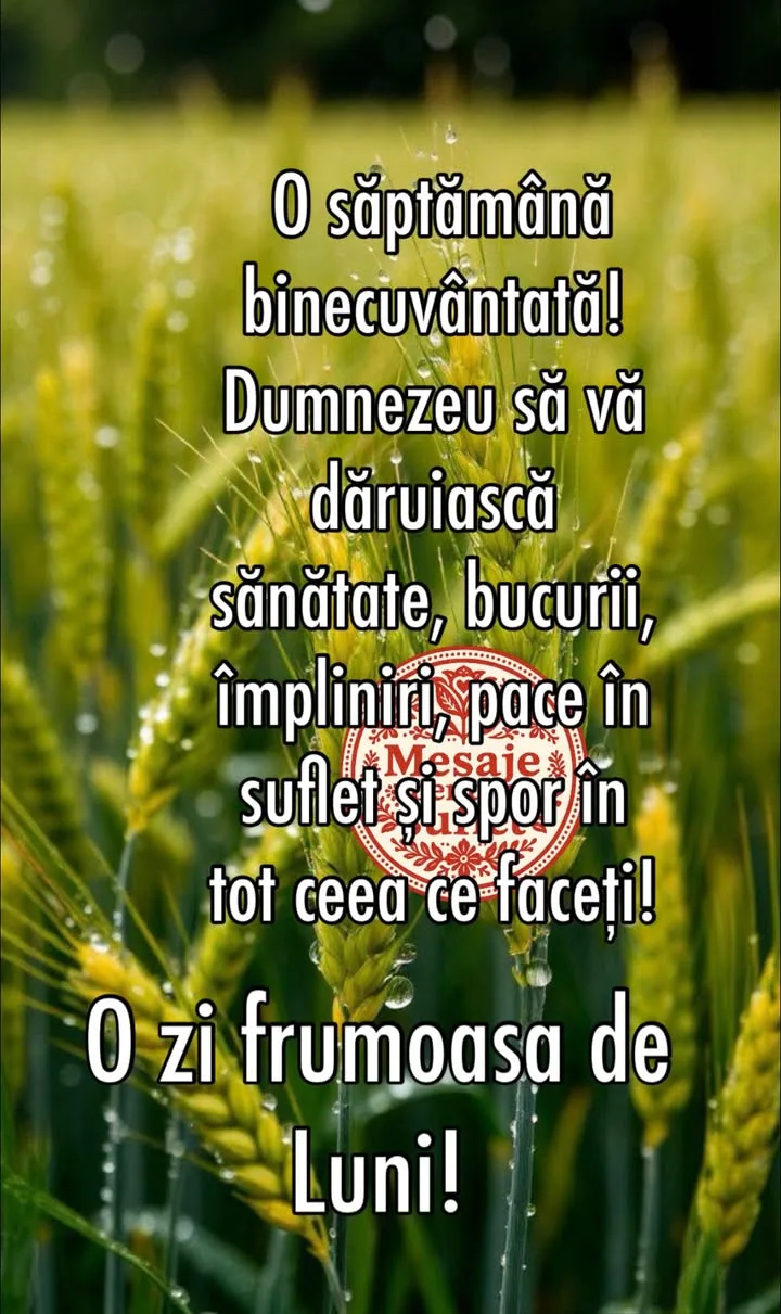 Mesaj pentru suflet 2026-06-29T03:54:56+0000