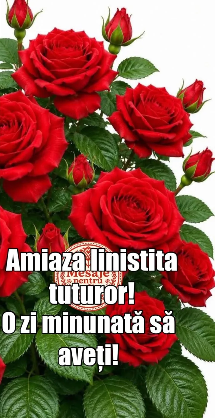 Mesaj pentru suflet 2026-06-23T09:45:04+0000