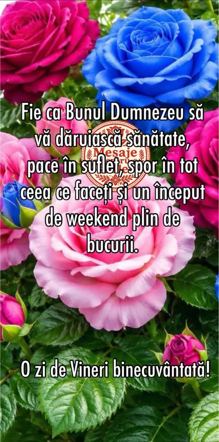 Buna dimineata!🌸
