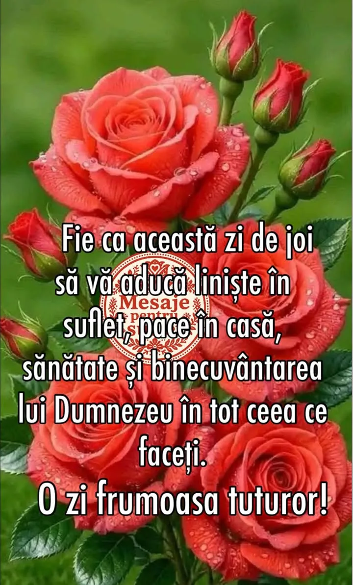 Mesaj pentru suflet 2026-06-25T05:31:18+0000