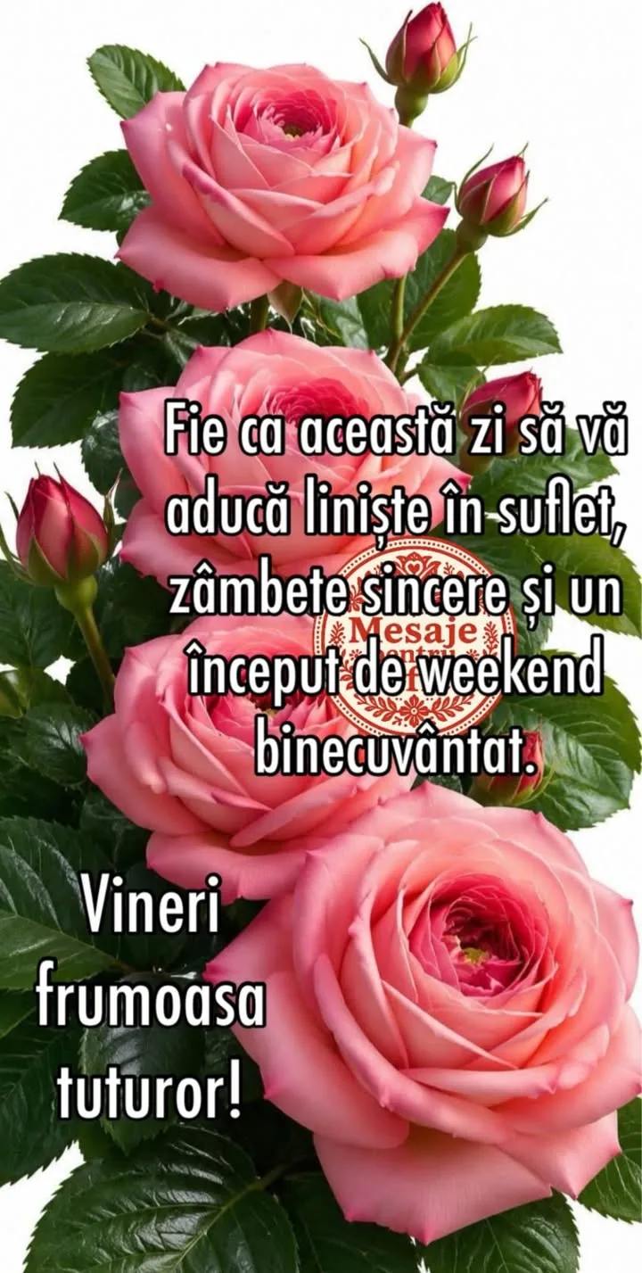 Mesaj pentru suflet 2026-06-26T04:39:35+0000