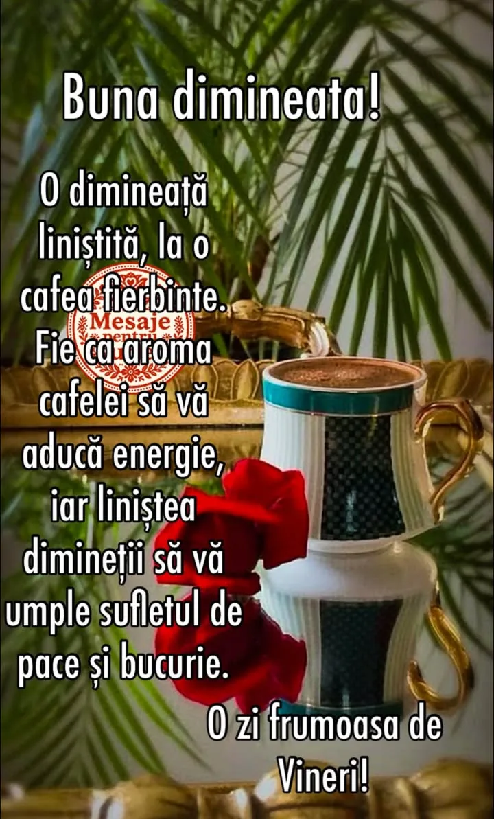 Vineri frumoasa!🌹