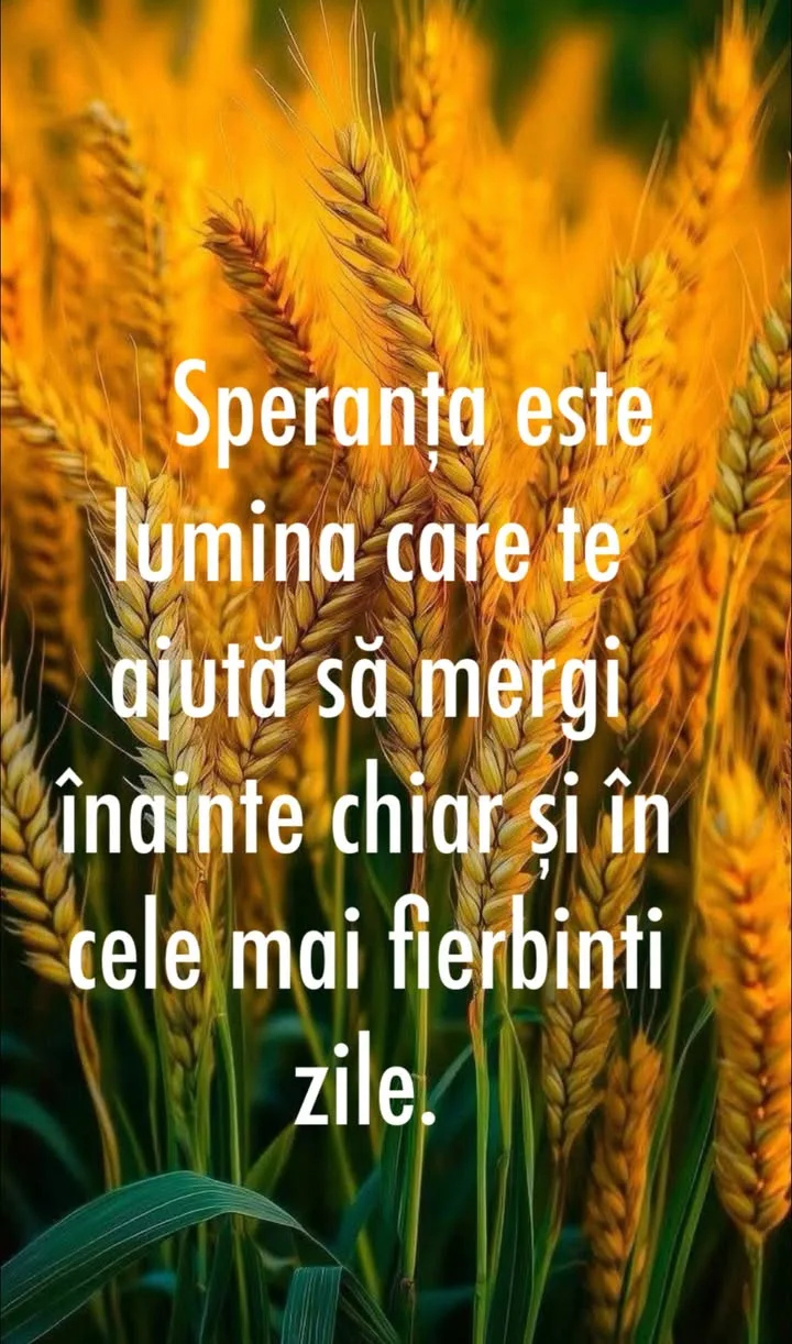 #viral#citat