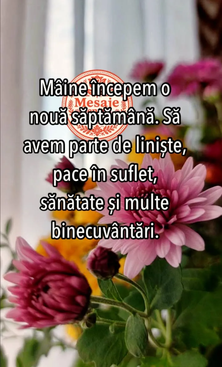 Buna seara, prieteni!🌺