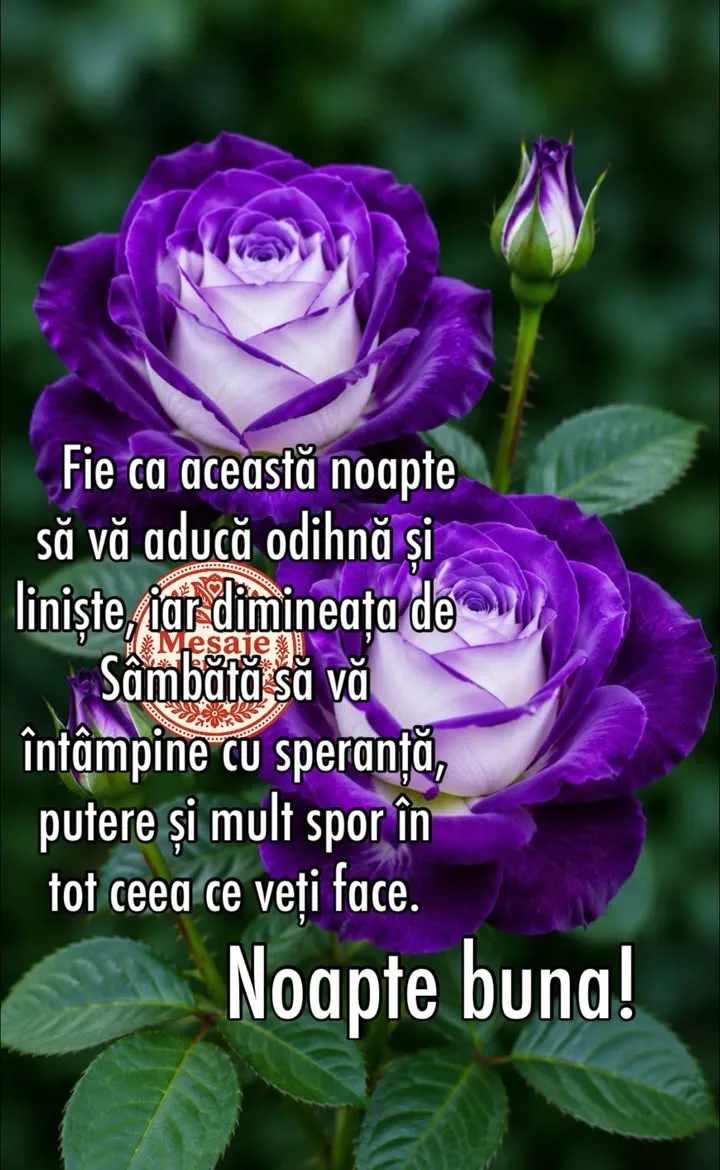 Mesaj pentru suflet 2026-06-26T18:27:25+0000