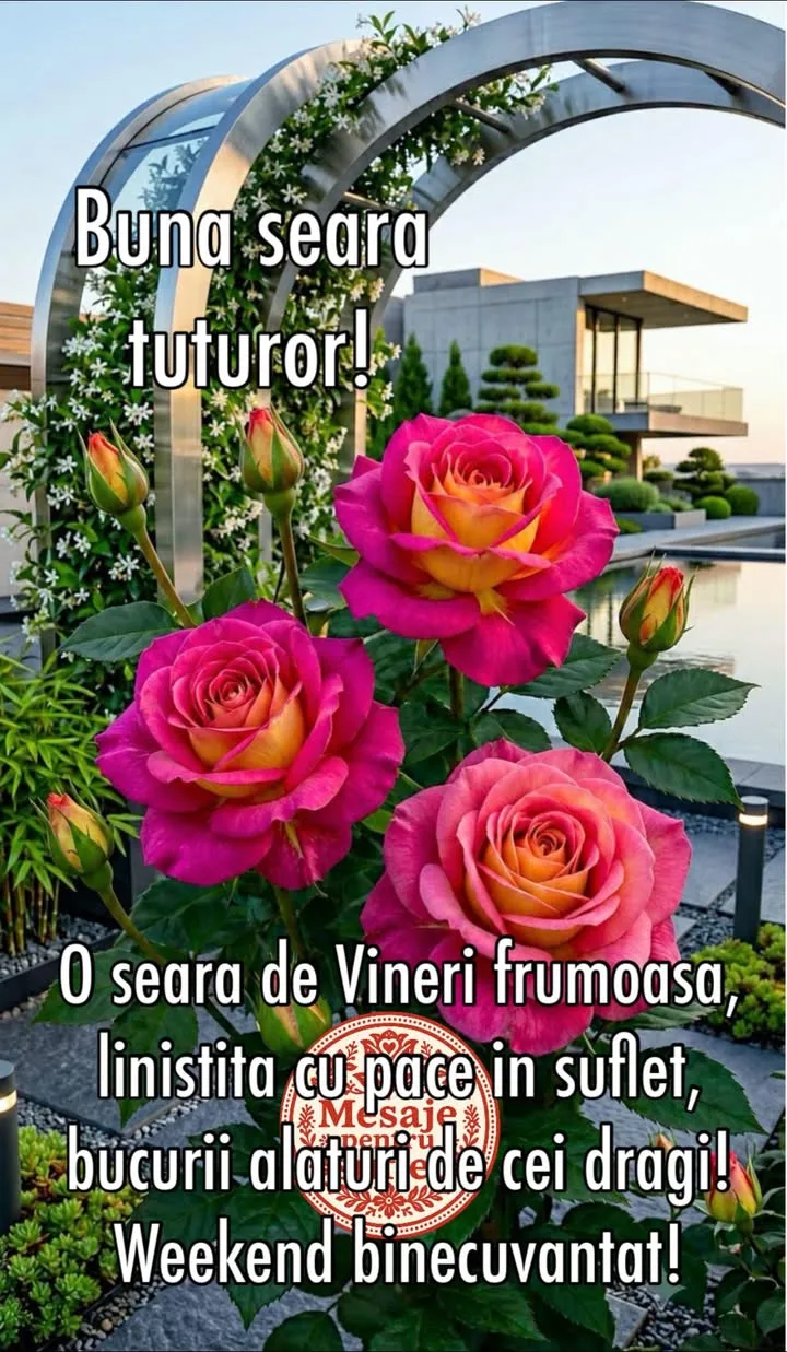 Mesaj pentru suflet 2026-06-26T14:03:18+0000