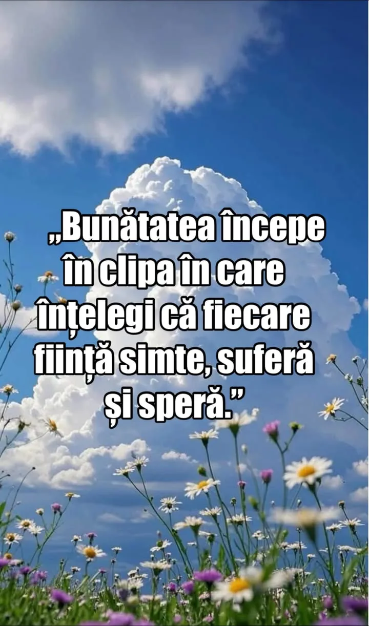 #viral#citat