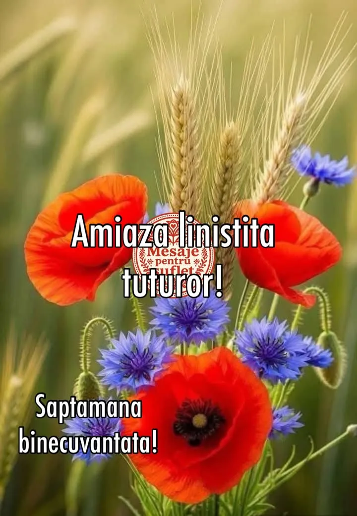 Mesaj pentru suflet 2026-06-29T10:52:48+0000