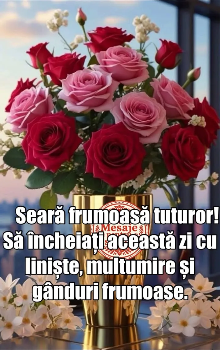Buna seara, prieteni!🌹