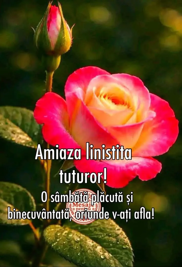 Mesaj pentru suflet 2026-06-27T10:05:44+0000
