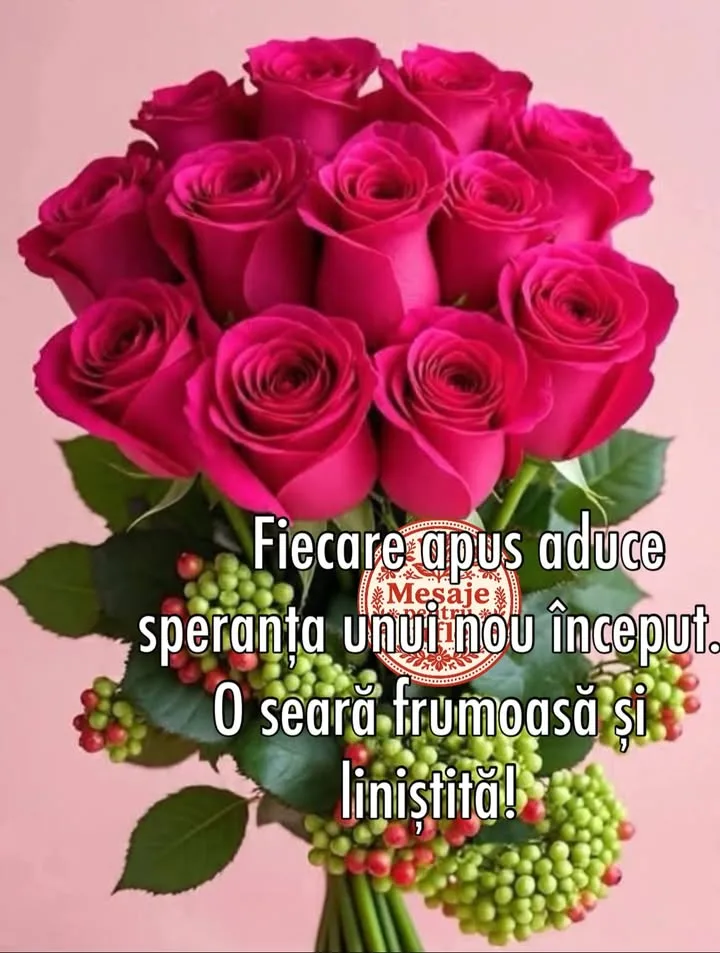 Seara minunata!🌹