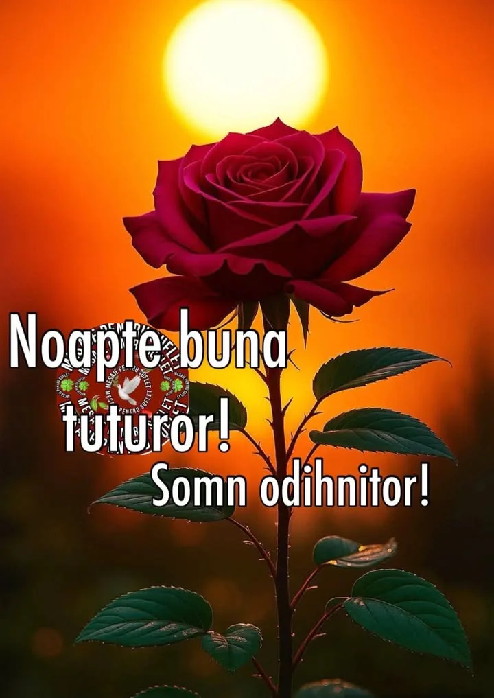 Mesaj pentru suflet 2026-06-28T18:29:16+0000