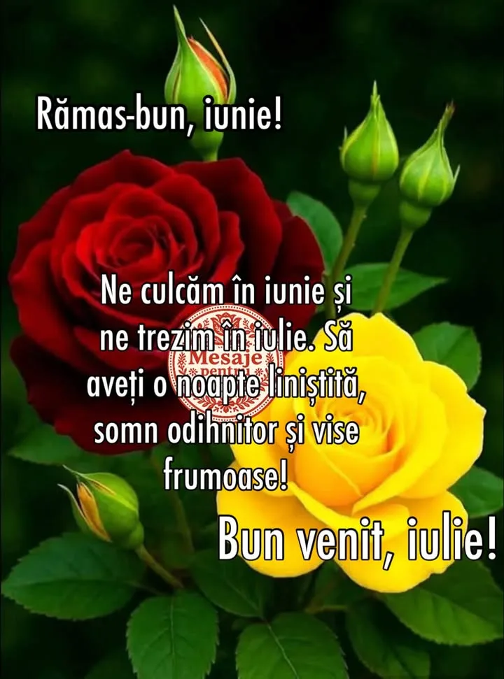 Noaote buna!🌹
