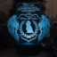 cadou-personalizat-trofeu-led-cu-aripi-pentru-fini gallery