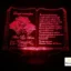cadou-personalizat-trofeu-led-pentru-fini-carticica gallery