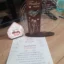 cadou-personalizat-trofeu-pentru-nasi review