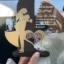 cadou-personalizat-trofeu-vreti-sa-fiti-nasii-nostri-gold review