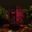 trofeu-led-personalizat-cerere-nasi-vreti-sa-fiti-nasii-nostri gallery