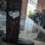 trofeu-personalizat-cadou-special-pentru-mosii-de-botez review