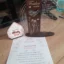 trofeu-personalizat-cadou-special-pentru-mosii-de-botez review