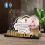 trofeu-personalizat-cu-boxa-norisor-pentru-nasii-de-botez main